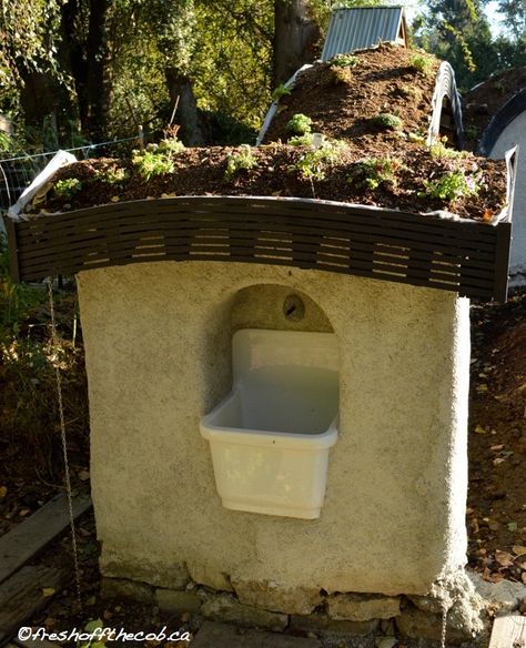 Building the Cob and Green Roof Garden Wall – Part 4: The Cob and Reclaimed Sink Water Fountain – FRESH OFF THE COB Cob Garden Wall, Cob Bathtub, Green Roof Garden, Home Fountain, Homestead Farm, Wood Roof, Farm Ideas, Cob House, Roof Garden