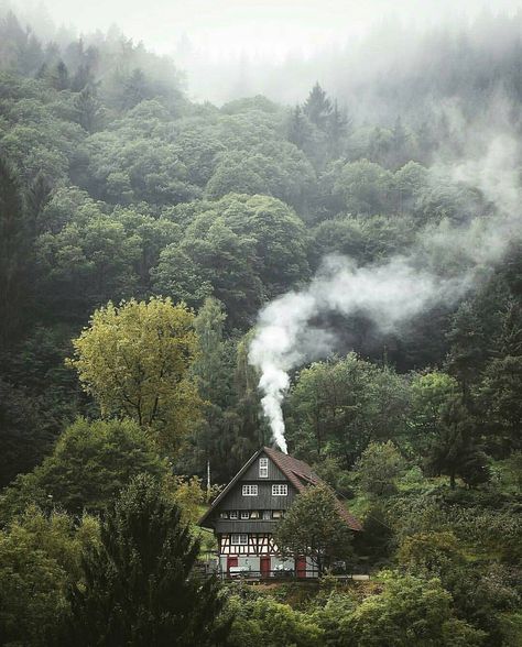 Tiny House Rentals, Cabin In The Woods, Street Racing, Into The Woods, Forest House, Futurism, Cabins In The Woods, Nature Aesthetic, Pretty Places