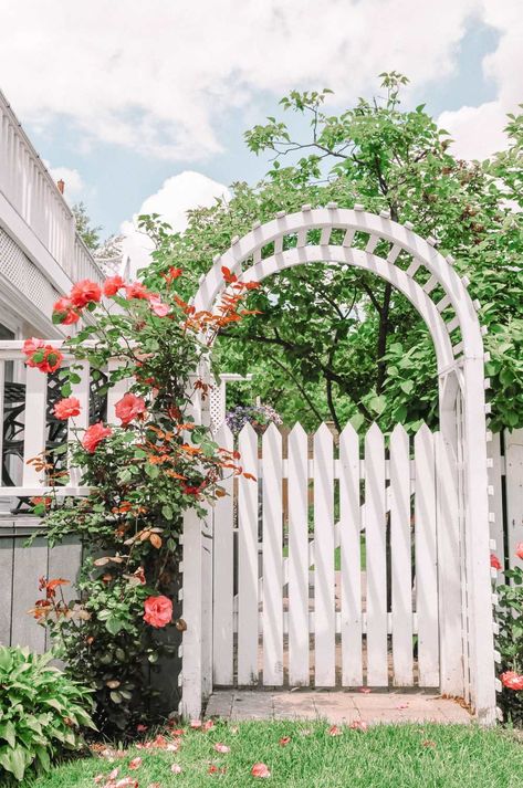 Things To Do In The Hamptons, Colorful Shrubs, Wood Picket Fence, Blue Cottage, Garden Stand, Cute Cottage, White Picket Fence, Beautiful Cottages, Garden Pictures