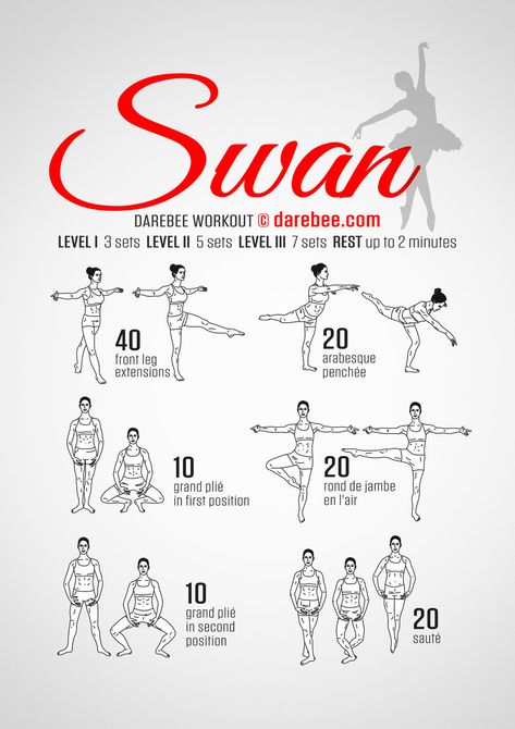 Darebee Workout, Ballet Basics, Ballerina Workout, Ballet Stretches, 100 Workout, Ballet Technique, Ballet Workout, Ballet Exercises, Dancer Workout