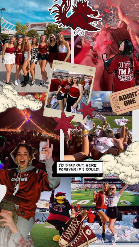 University of South Carolina South Carolina Aesthetic, Carolina Aesthetic, University Of South Carolina, South Carolina, University, Football, Sports, American Football