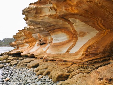 white rock australia | Painted Cliffs, coast sandstone, Maria Island, Tasmania ... Sandstone Rock, Tasmania Australia, Rock Formations, South Pacific, Tasmania, Pacific Ocean, Stone Rocks, Undercut, Antelope Canyon