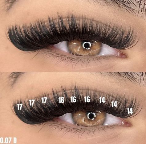 Long Volume Lash Extensions Mapping, Mega Lash Map, Classic Hybrid Lashes Mapping, Squirrel Lash Extensions, Lash Sets With Mapping, Volume Lash Map, Lashes Ideas, Lash Ideas, Lash Maps