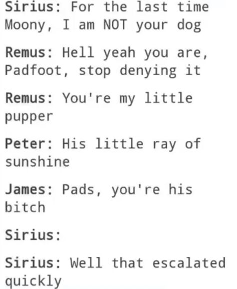 Marauders Memes Hilarious, Marauders Memes Funny, Funny Harry Potter Jokes, Harry Potter Memes Hilarious, Gay Harry Potter, Harry Potter Feels, Harry Potter Puns, Harry Potter Images, Harry Potter Comics