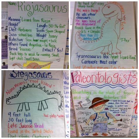 Kindiekins: Anchor Chart Addict....and dinosaurs! :) Dinosaur School Theme, Dinosaurs Kindergarten, Dinosaur Unit Study, Dinosaur Lesson, Dinosaur Classroom, Dinosaur Activities Preschool, Dinosaur Projects, Kindergarten Anchor Charts, Dinosaurs Preschool