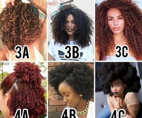 Image may contain: 4 people, text Curl Pattern Chart, Hair Texture Chart, 3c Curly Hairstyles, Hair Type Chart, Hair Chart, 3a Hair, Crochet Box Braids, Hair Cuffs, Growth Hair