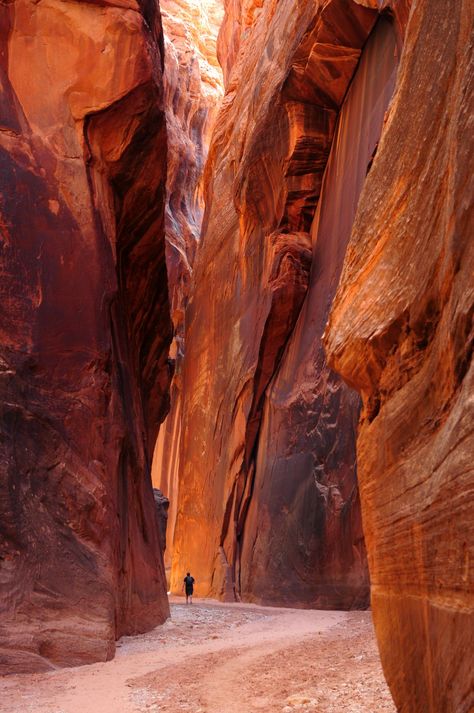 Hiking Goals, Buckskin Gulch, Paria Canyon, Hiking Places, Utah Hikes, Pinup Art, Slot Canyon, Utah Travel, Fairy Queen