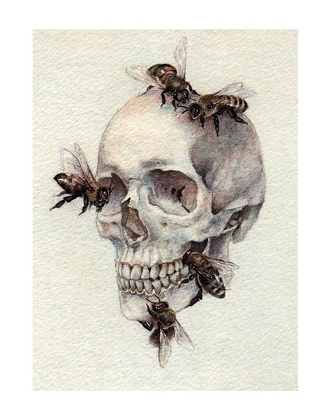 수채화 그림, Human Skull, Arte Sketchbook, Arte Inspo, Art Et Illustration, Art And Illustration, Anatomy Art, Skull Art, Art Drawings Sketches