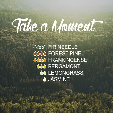 Idaho Blue Spruce Essential Oil, Essential Oil Candle Blends, Pine Needle Essential Oil, Focus Essential Oil Blend, Diffuser Blends Young Living, Diffuser Scents, Fir Needle Essential Oil, Forest Therapy, Eo Blends