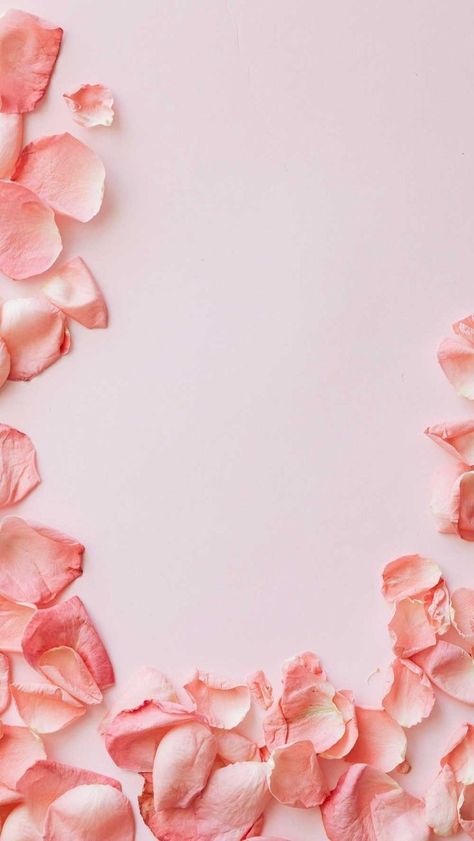 Facial Pictures, Gold Wallpaper Phone, Background Bright, Beauty Salon Design, Flowery Wallpaper, Instagram Background, Flower Iphone Wallpaper, Pastel Pattern, Webpage Design