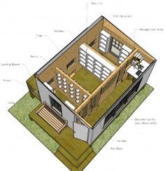 Necessary elements of a champion pigeon racing loft. Loft Design House, Fantail Pigeon, Racing Pigeon Lofts, Pigeon Loft Design, Pigeon Racing, Pet Pigeon, Pigeon House, Loft Designs, Homing Pigeons