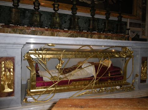 Some of the Popes are in glass coffins in the Basilica Glass Coffin, Roman Culture, Vis Dev, Ancient Romans, Ancient History, Bones, History, Glass, Travel