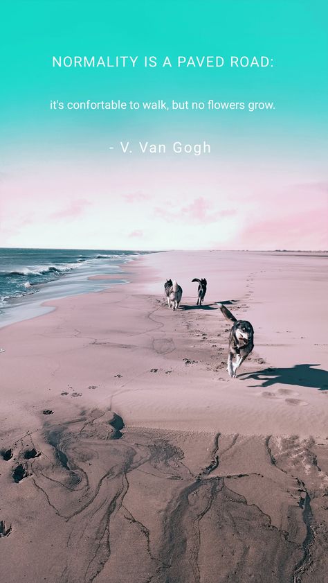 Huskies at the beach , wallpaper , quote Normality Is A Paved Road, Vincent Van, Growing Flowers, Vincent Van Gogh, Van Gogh, Road, Van