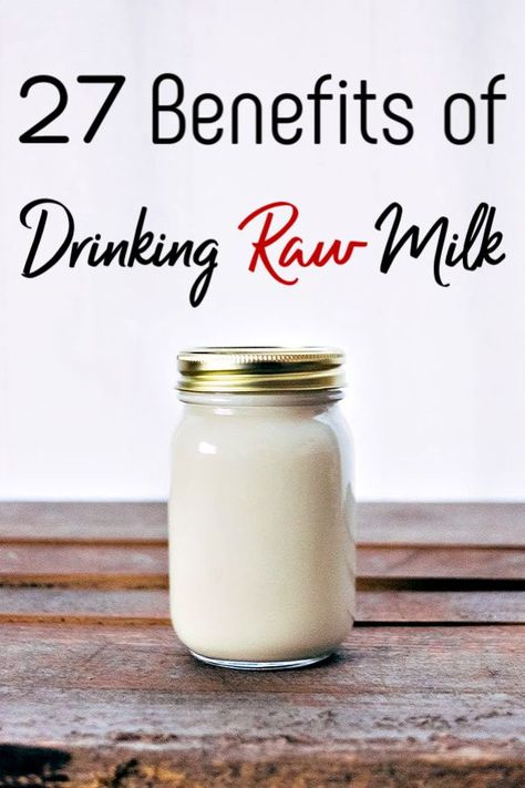 Considering switching to raw milk? These 27 benefits of raw milk may just convince you! Taste aside, you may just be surprised! #rawmilk #health #milk #raw #rawfood #realfood #healthy #fitness Cow Milk Benefits, Milk Benefits, Nourishing Traditions, Saving Money Tips, Pin Ideas, Pay Off Debt, Dairy Cows, Milk Cow, Fresh Milk