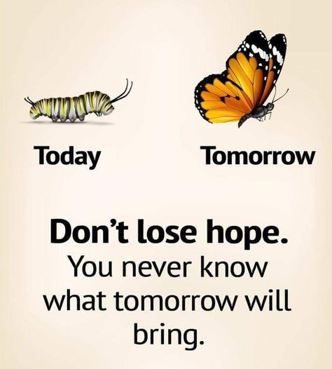 Life Choices Quotes, Dont Lose Hope, Inspirtional Quotes, Choices Quotes, Powerful Inspirational Quotes, Strong Mind Quotes, Motivational Picture Quotes, Genius Quotes, Very Inspirational Quotes