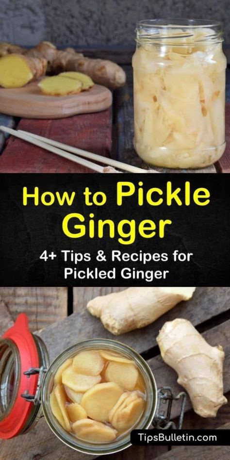 Pickle Ginger, Pickled Foods, Growing Ginger, Health Benefits Of Ginger, Ginger Slice, Fermentation Recipes, Pickled Ginger, Pickled Veggies, Pickled Vegetables