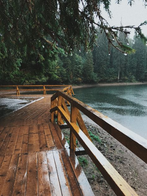 Camper In The Woods, Living In The Woods, Adventure Aesthetic, Cabins In The Woods, Nature Landscape, Nature Aesthetic, Outdoor Life, Nature Travel, Country Life