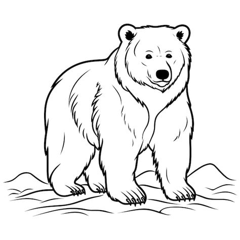 صفحه رنگ آمیزی خرس برای کودکان | Premium Vector #Freepik #vector #white-bear #bear-drawing #polar-bear #brown-bear Bear Face Drawing, Coloring Pages Fall, Polar Bear Coloring Page, Bear Coloring Page, Polar Bear Drawing, Bear Sketch, Sister Bear, Animal Outline, Bear Vector