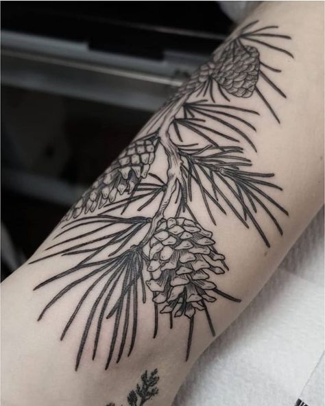 AMOS på Instagram: "Pine branch on Bas - part of a full sleeve 🌱 Now booking for September & October. For appointments/info please contact…" Pine Cone Tattoo, Pinecone Tattoo, Cone Tattoo, Pine Tattoo, Nikko Hurtado, Nature Tattoo Sleeve, Full Sleeve Tattoo Design, Geometric Tattoo Arm, Mushroom Tattoos