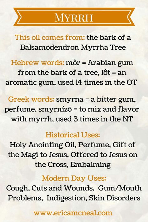 Biblical Oils, Christian Glowup, Oils Of The Bible, Medicinal Herbs Remedies, Bible Food, Myrrh Oil, Anointing Oil, Essential Oils Herbs, Essential Oils Health