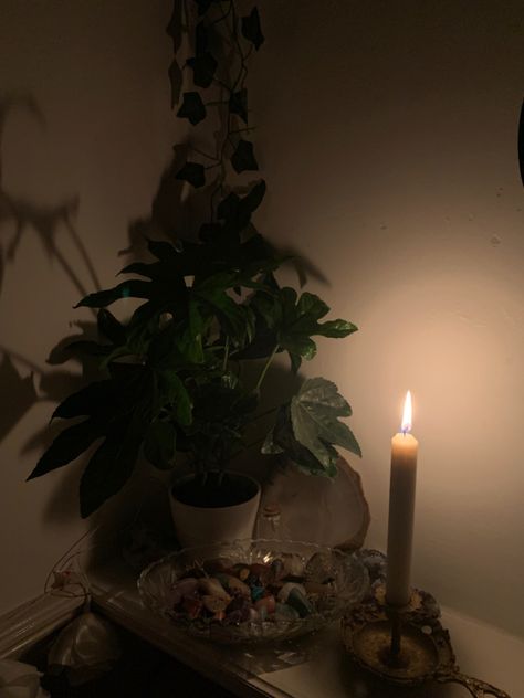 Planty Room, Plants And Candles, Plants Crystals, Candle Room, Room With Plants, Taper Candle, Candles, Crystals, Plants