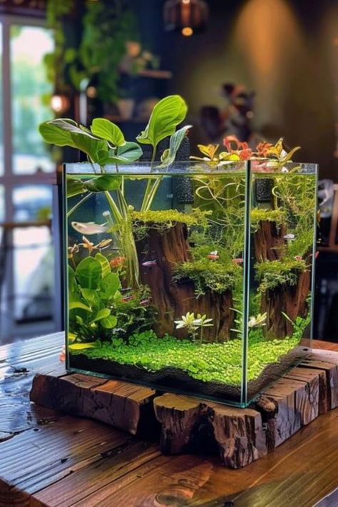 Uncover the beauty of underwater gardening with these captivating fish tank ideas that celebrate the art of aquascaping! Click through now to explore expert tips and step-by-step tutorials for creating your own aquatic masterpiece. Nano Tank Aquascape Ideas, Mini Aquarium Ideas, Shrimp Tank Aquascape, Aquascape Mini, Mini Aquascape, Planted Fish Tank, Cool Fish Tank Decorations, Fish Aquarium Decorations, Fish Tank Themes