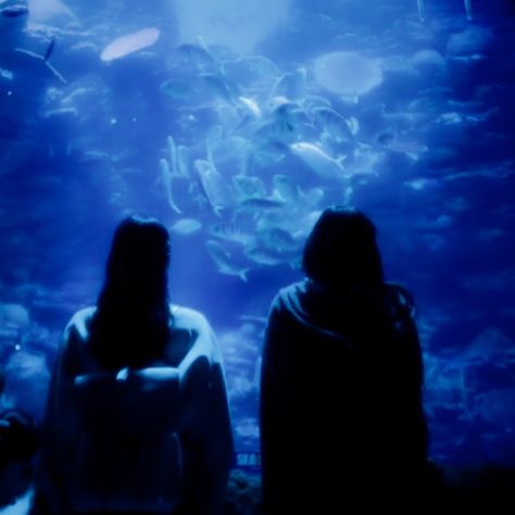 Blue Aesthetic Movie, Soulmates Pictures, Soulmate 2023 Movie, Soulmate Wallpaper, Soulmate Kdrama, Soulmates Aesthetic, Soulmate Movie, Soulmate Aesthetic, Aquarium Pictures