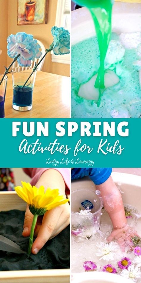 We've found our favorite Spring Activities for kids including science, arts and crafts! These are perfect for outside on sunny days or inside on rainy days. Bring on Spring, my kids can't wait! Spring Day Activities, Science Arts And Crafts, Fun Spring Activities, Spring Activities For Kids, Child Education, Gross Motor Activities, Spring Activities, Go Crazy, Activity Days