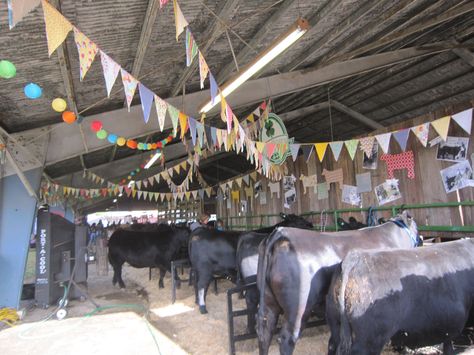 cattle cow barn stall decorations decor 4h Fair, Brand Display, Cow Barn, Stall Decorations, Livestock Barn, Show Steers, Show Cows, Barn Stalls, Horse Information