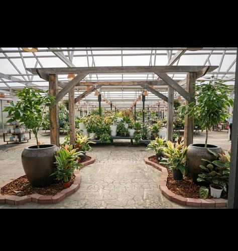 Garden Centre Displays, Garden Center Displays, Greenhouse Ideas, Plant Shop, Plants Indoor, Garden Centre, House Plants Indoor, Garden Center, Smell Good