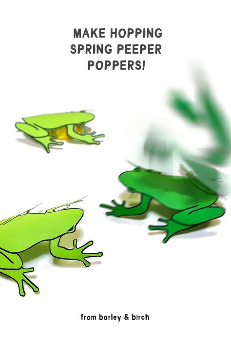 These popping spring peepers are a cute kids paper frog craft and silly science lesson all rolled into one! | from barley & birch Paper Frog Craft, Blubber Experiment, Spring Peeper, Frog Template, Paper Frog, Steam Activities For Kids, Easy Diy Kids, Frog Craft, Frog Activities