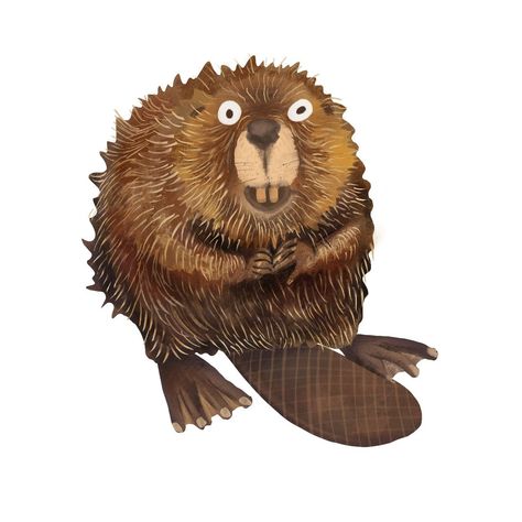 beaver illustration Beaver Illustration, Beaver Drawing, Beaver Cartoon, Scientific Drawing, Tea Illustration, Childrens Drawings, Contemporary Illustration, Funny Drawings, Woodland Creatures