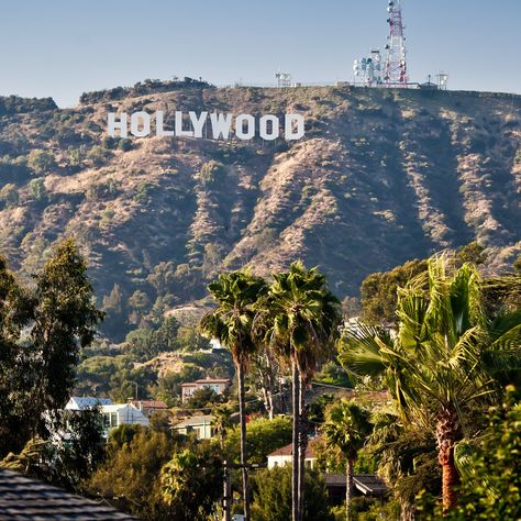 Visiting the legendary Hollywood sign is a must for all Los Angeles travelers. Finding the right view is key. Los Angeles Police Department, Griffith Park, Hollywood Sign, Cali Girl, Malibu Beaches, Malibu Barbie, California Cool, City Of Angels, Hollywood Hills