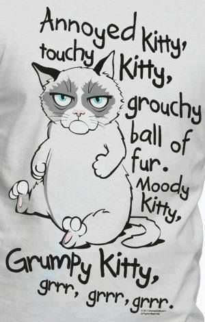 Grumpy Kitty, Doug Funnie, Lung Cleanse, Meme Chat, Moody Quotes, Grumpy Cat Humor, Grumpy Cat, E Card, Big Bang Theory