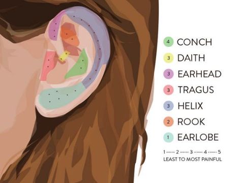 ear piercing pain chart Ušný Piercing, Second Ear Piercing, Piercing Eyebrow, Ear Peircings, Piercings Ideas, Ear Piercings Chart, Piercing Chart, Double Ear Piercings, Septum Piercings