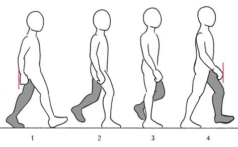 Deconstructing the walk Anatomy Fundamentals, Walking Animation, Person Drawing, Human Figure Drawing, Animation Sketches, Human Drawing, Drawing Faces, Animation Tutorial, Animation Reference