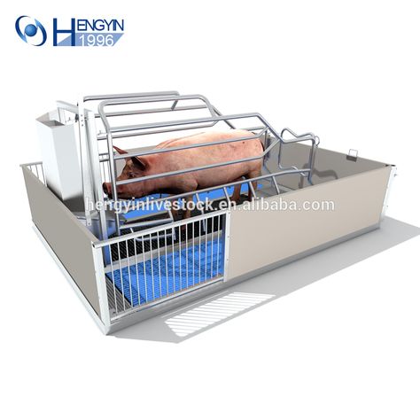 Source pig farm equipment stall system farrowing crate pig farrowing pen for sale on m.alibaba.com Farrowing Pen, Pig Farrowing, Feed Trough, Pig Breeds, Farming Technology, Pig Pen, Pig Farm, Pig House, Automation Technology