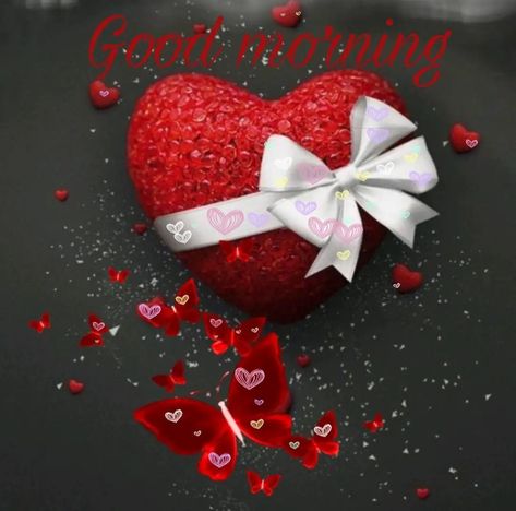 Cute Good Morning Pictures, Good Morning Photos Download, Birthday Wishes Gif, Best Good Morning Images, Free Good Morning Images, Wallpaper Photo Hd, Love Good Morning, Good Morning Pics, Morning Quotes Images