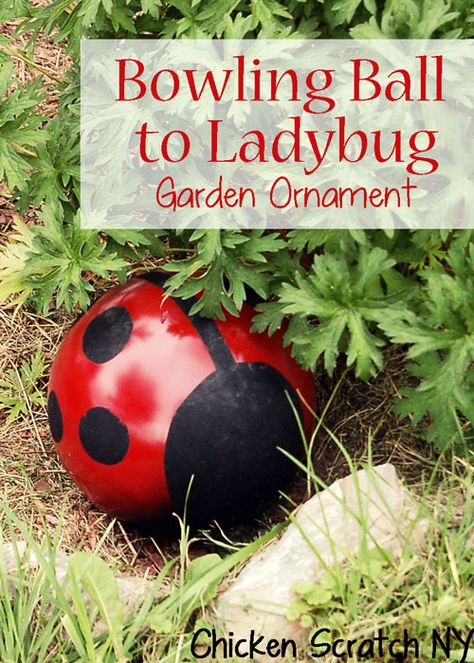 Bowling Ball Ladybug, Garden Upcycle, Bowling Ball Crafts, Bowling Ball Garden, Diy Bowling, Bowling Ball Yard Art, Bowling Ball Art, Cottage Backyard, Ladybug Garden