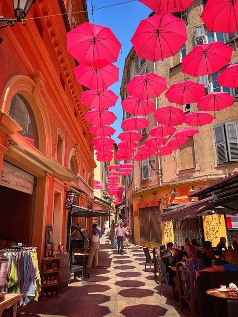 Un retour d'article sur notre expédition à Peymeinade en juin dernier. Découvrez Grasse et ses alentours, la capitale mondiale du parfum. Ruelles pittoresques, musées, paysages naturels et produits du terroir vous attendent. Grasse France, Portugal, France