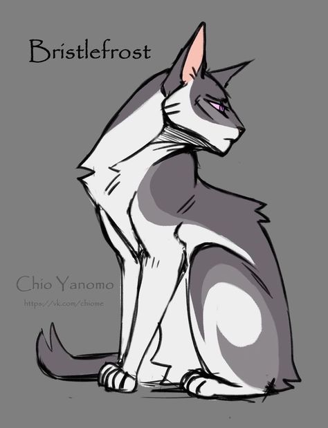 Warrior Cats Drawings, Warrior Cats Drawing, Warrior Cats Oc Ideas, Warrior Cats Series, Cat Template, Warrior Cats Books, Cats Art Drawing, Warrior Cats Fan Art, Warrior Cat Drawings