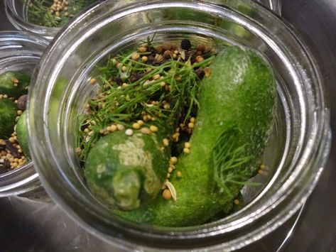 German Pickles Recipe, German Pickles, Sweet Dill Pickles, Oktoberfest Recipes, Cultural Recipes, Cucumber Uses, Bread And Butter Pickles, Dill Pickle Recipe, Pickled Cucumber