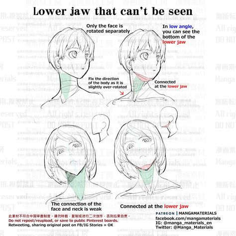 Head Tilted Up Reference Drawing, Head Tilt Up Reference, Tilt Head Drawing, Hyoid Bone, Manga Materials, Shading Drawing, Head Tilt, Comic Tutorial, Drawing Tutorial Face