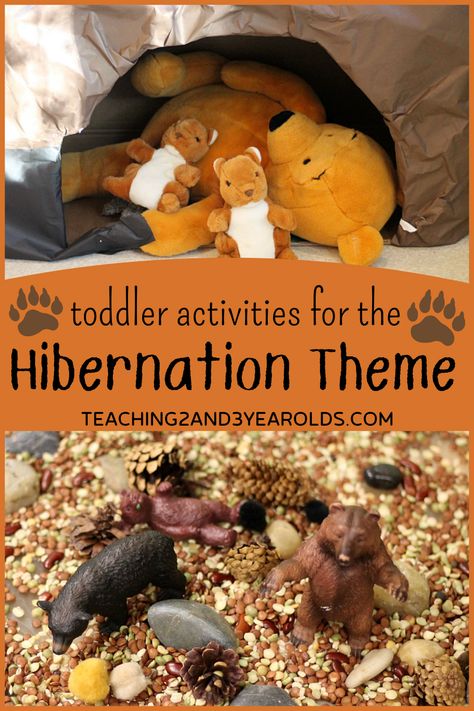 We use lots of hands-on ideas with our toddler hibernation activities. A cave they can actually crawl into, caves they can build with arch blocks, bears and loose parts in the sensory bin. It creates a very meaningful environment that they love! #toddler #hibernation #bears #caves #winter #science #dramaticplay #activities #2yearolds #classroom #homeschool #teaching2and3yearolds Preschool Activities Sensory, Hibernation Preschool Theme, Hibernation Preschool Crafts, Hibernating Bear Craft, Hibernation Preschool Activities, Hibernation Crafts, Winter Animals Preschool, Hibernation Preschool, Hibernation Activities