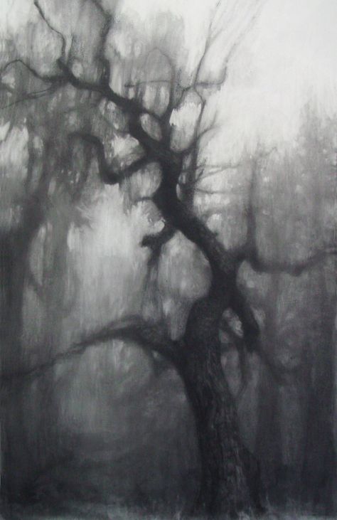 drawing "Large Oak" Easy Charcoal Drawings, Silverpoint Drawing, Creepy Backgrounds, Forest Drawing, Graphite Art, Art Charcoal, Charcoal Sketch, Charcoal Art, Dark Art Drawings