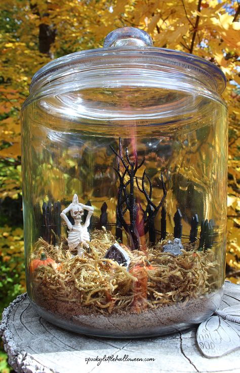 Learn how to make a springoween terrarium, including the best places to look for miniatures outside of Halloween season. Halloween Fairy Garden, Halloween Fairy, Halloween Miniatures, Witchy Crafts, Diy Halloween Projects, Halloween Village, Halloween Ribbon, Terrarium Diy, Halloween Magic