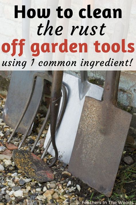 Rusty garden tools before cleaning Old Garden Tools, Clean Garden Tools, Small Garden Tools, Rusty Tools, Best Garden Tools, Rusty Garden, Lawn Tools, How To Clean Rust, Garden Shears