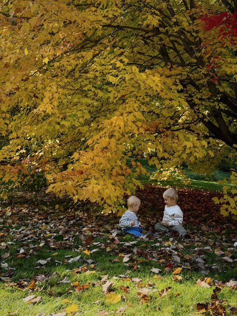 Fall leaves autumn colors bucket list babies baby toddler kids brothers inspo aesthetic October Nature Child Aesthetic, 90s Family Aesthetic, Mothering Aesthetic, Cozy Family Aesthetic, Aesthetic Kids, Fall Pictures, Best Mother, When I Grow Up, Family Goals