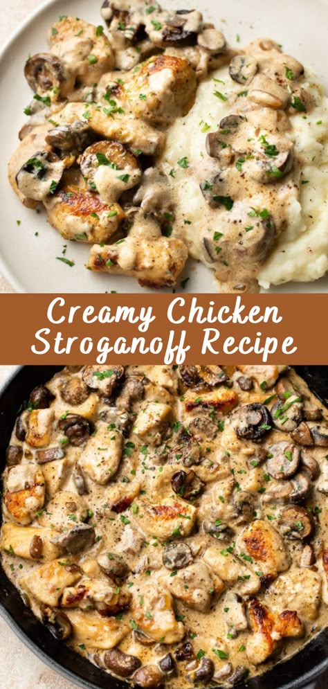 Creamy Chicken Stroganoff Recipe | Cheff Recipes Healthy Stroganoff Recipe, Stragonoff Recipe, Easy Chicken Stroganoff Recipe, Creamy Chicken Stroganoff, Chicken Stroganoff Recipe, Classic Beef Stroganoff, Mushroom Stroganoff Recipe, Chicken Main Dish Recipes, Chicken Mushroom Recipes