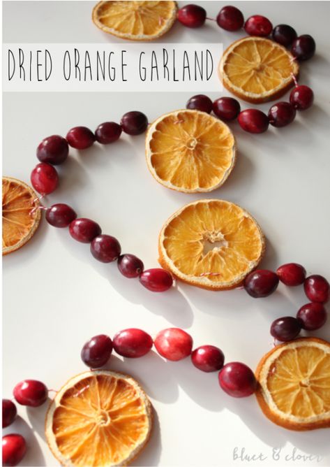 Diy Christmas Garland Ideas, Christmas Garland Ideas, Diy Christmas Garland, Garland Ideas, Natural Christmas Decor, Dried Orange Slices, Dried Oranges, Natural Christmas, Diy Garland